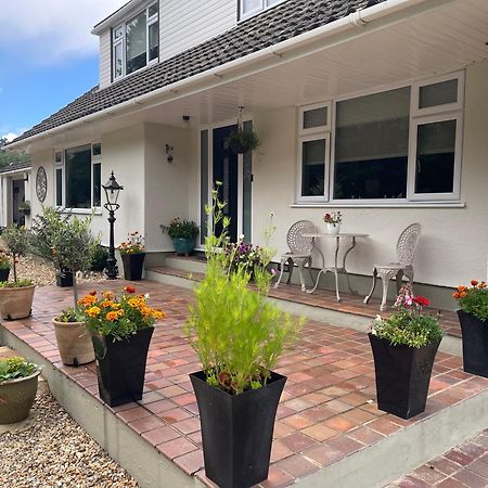 Woodland House B & B Wimborne Minster Luaran gambar