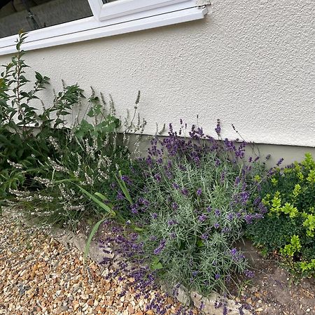 Woodland House B & B Wimborne Minster Luaran gambar