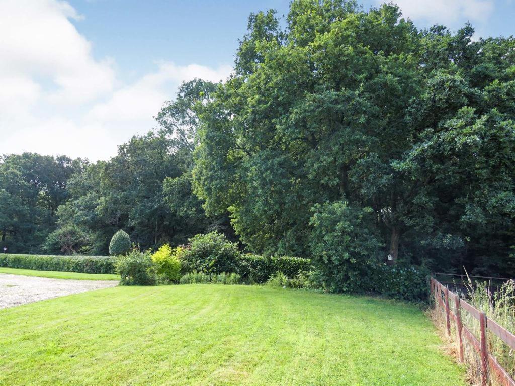 Woodland House B & B Wimborne Minster Luaran gambar