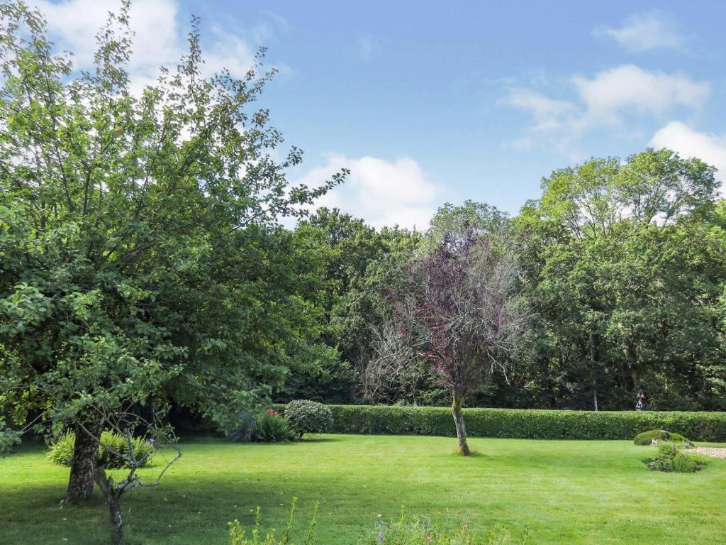 Woodland House B & B Wimborne Minster Luaran gambar
