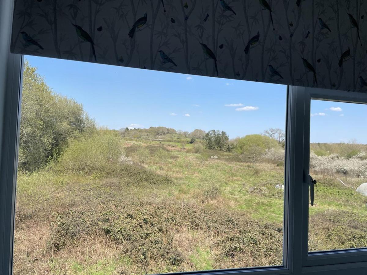 Woodland House B & B Wimborne Minster Luaran gambar