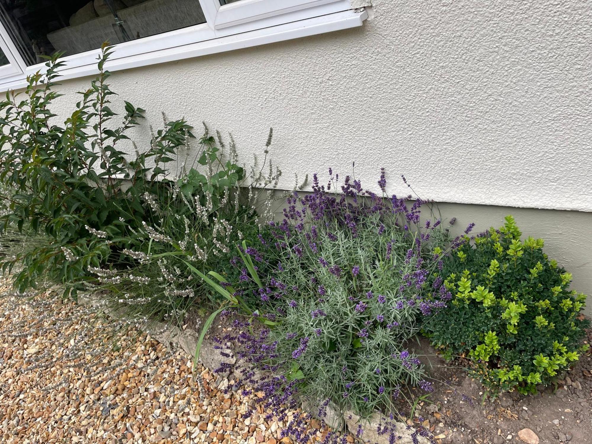 Woodland House B & B Wimborne Minster Luaran gambar