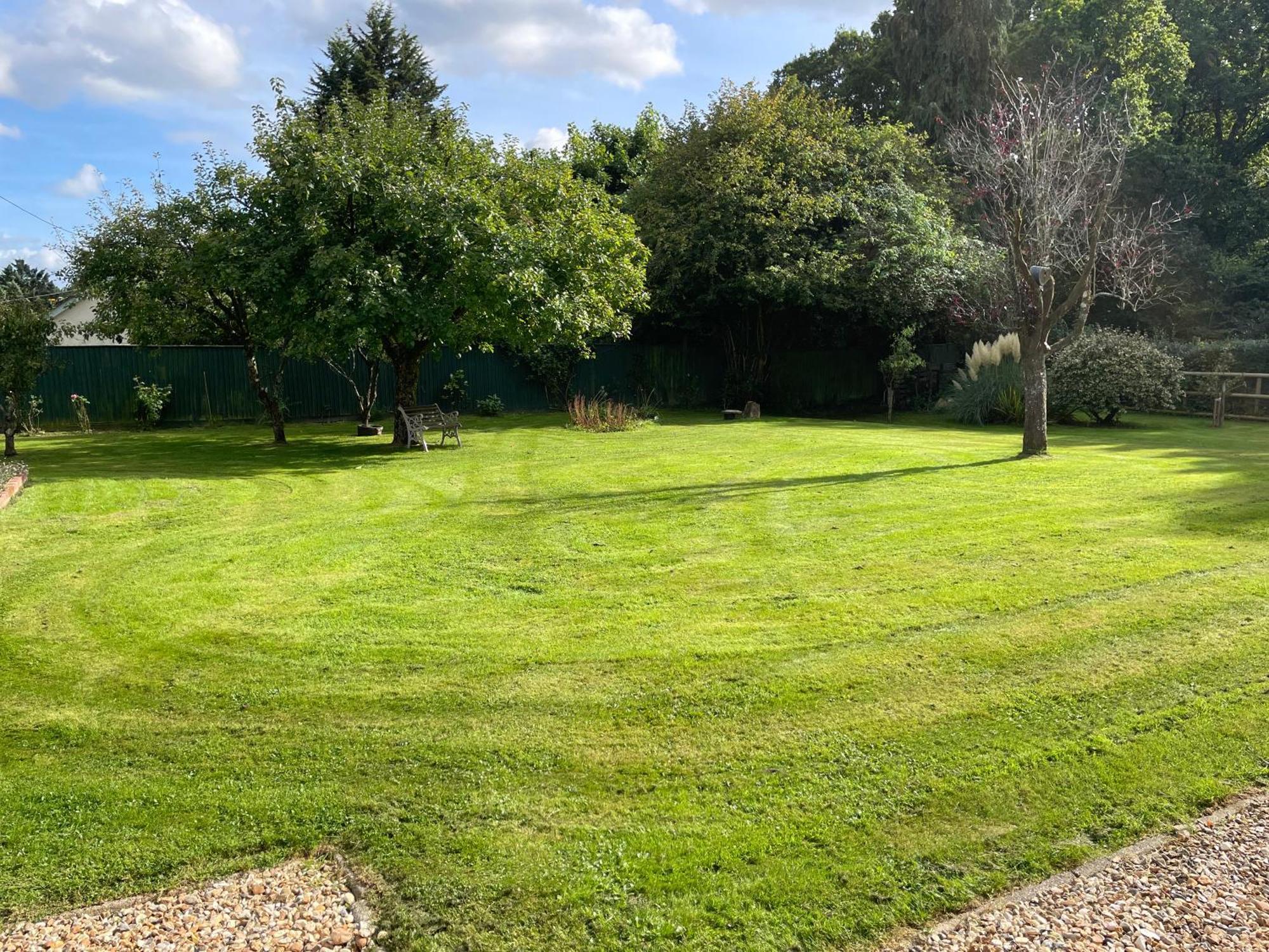 Woodland House B & B Wimborne Minster Luaran gambar